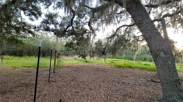 a view of a backyard with large trees