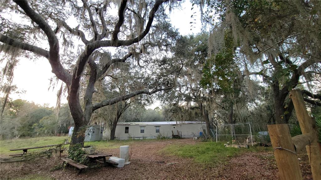 213 Clifton Road Crescent City, FL 32112 - Photo 44 of 51 a view of a backyard with large trees