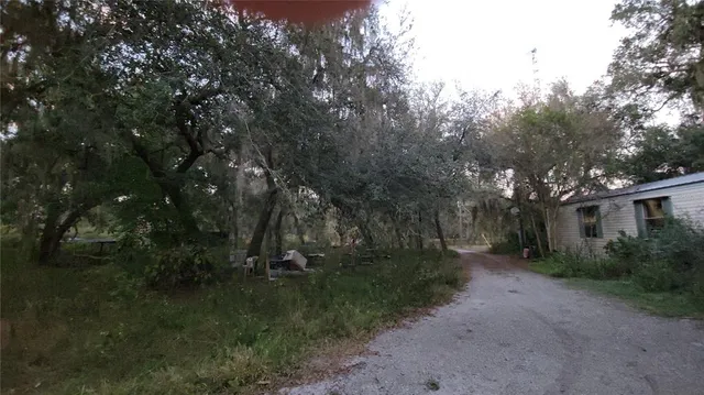 a view of a small yard