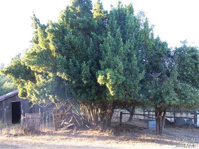 795 Watertrough Road Sebastopol, CA 95472 - Photo 3 of 9