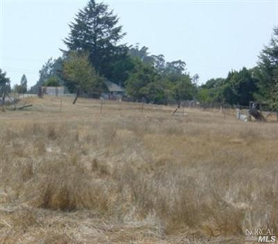 795 Watertrough Road Sebastopol, CA 95472 - Photo 4 of 9 a view of a dry yard with trees in the background