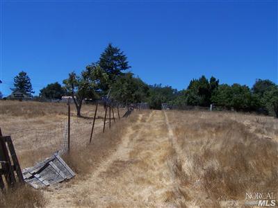 795 Watertrough Road Sebastopol, CA 95472 - Photo 6 of 9 a view of a yard with wooden fence