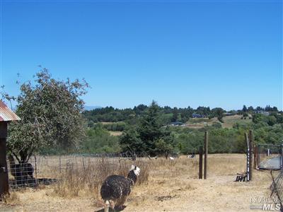 795 Watertrough Road Sebastopol, CA 95472 - Photo 7 of 9 a view of a backyard