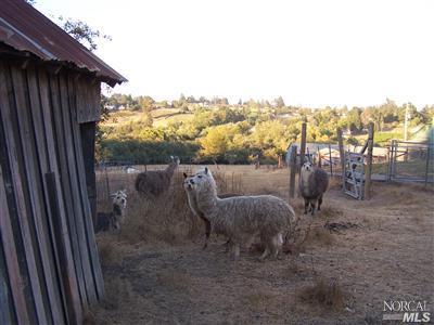 795 Watertrough Road Sebastopol, CA 95472 - Photo 8 of 9