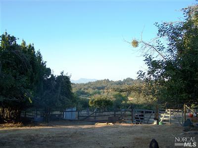795 Watertrough Road Sebastopol, CA 95472 - Photo 9 of 9 a view of street with houses