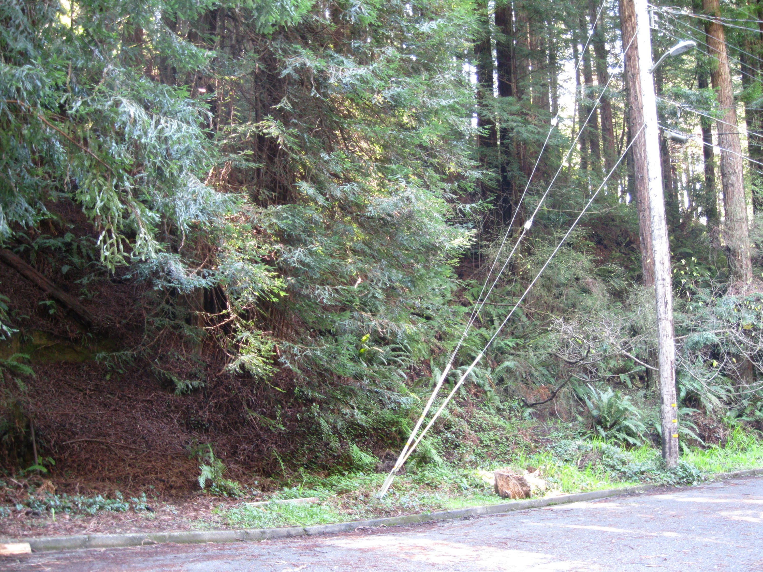 20 Beverly Drive Arcata, CA 95521 - Photo 6 of 9