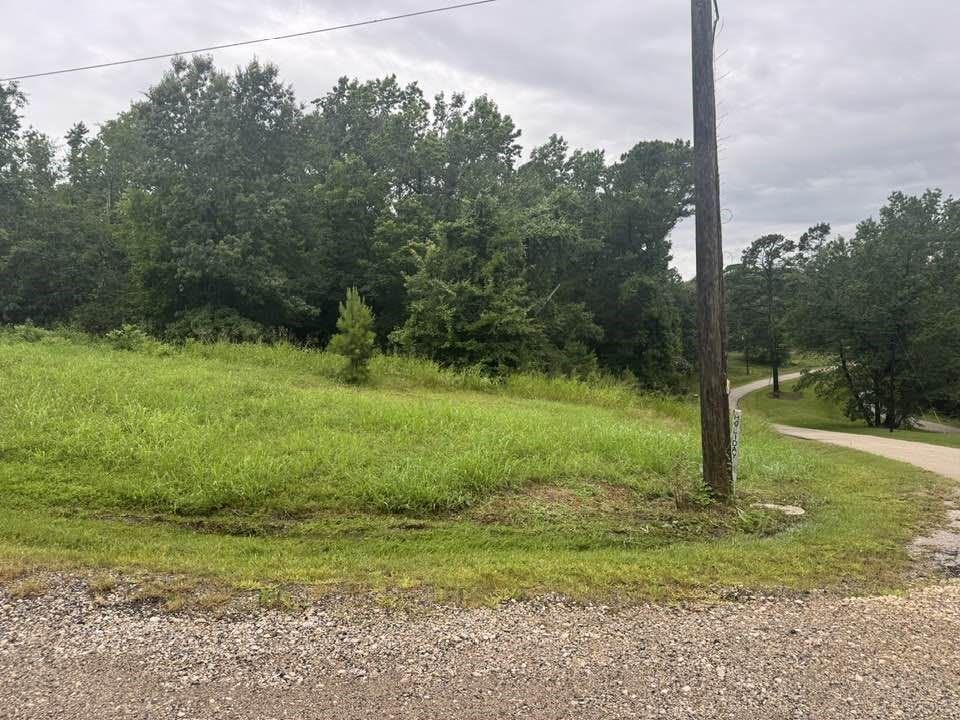 Tbd Holiday Boulevard Coldspring, TX 77331 - Photo 5 of 5