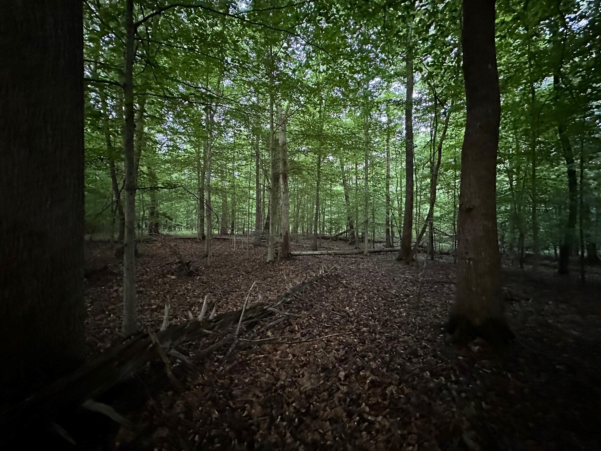 Lot 34 Jackson Point Road, Unit 34 Sewanee, TN 37375 - Photo 3 of 8 4