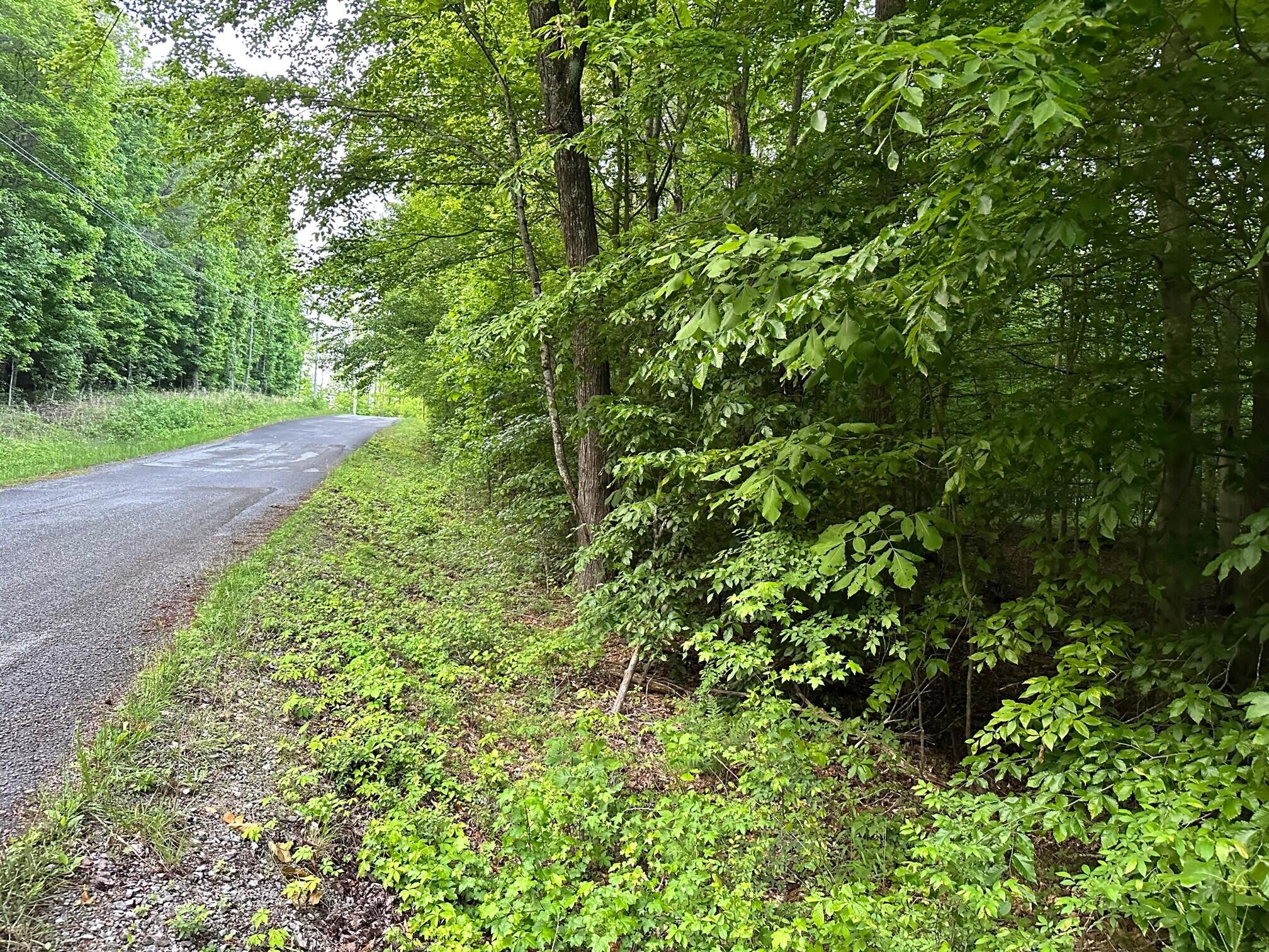 Lot 34 Jackson Point Road, Unit 34 Sewanee, TN 37375 - Photo 8 of 8 2