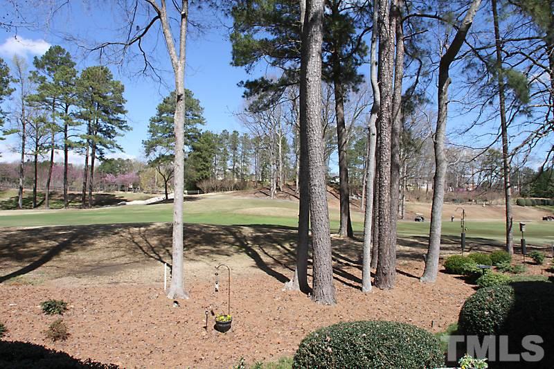 2007 Landings Way Raleigh, NC 27615 - Photo 15 of 17 a view of a park with of trees
