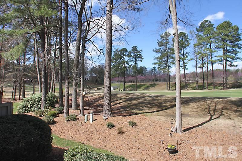 2007 Landings Way Raleigh, NC 27615 - Photo 16 of 17 a backyard of a house with lots of green space and fountain