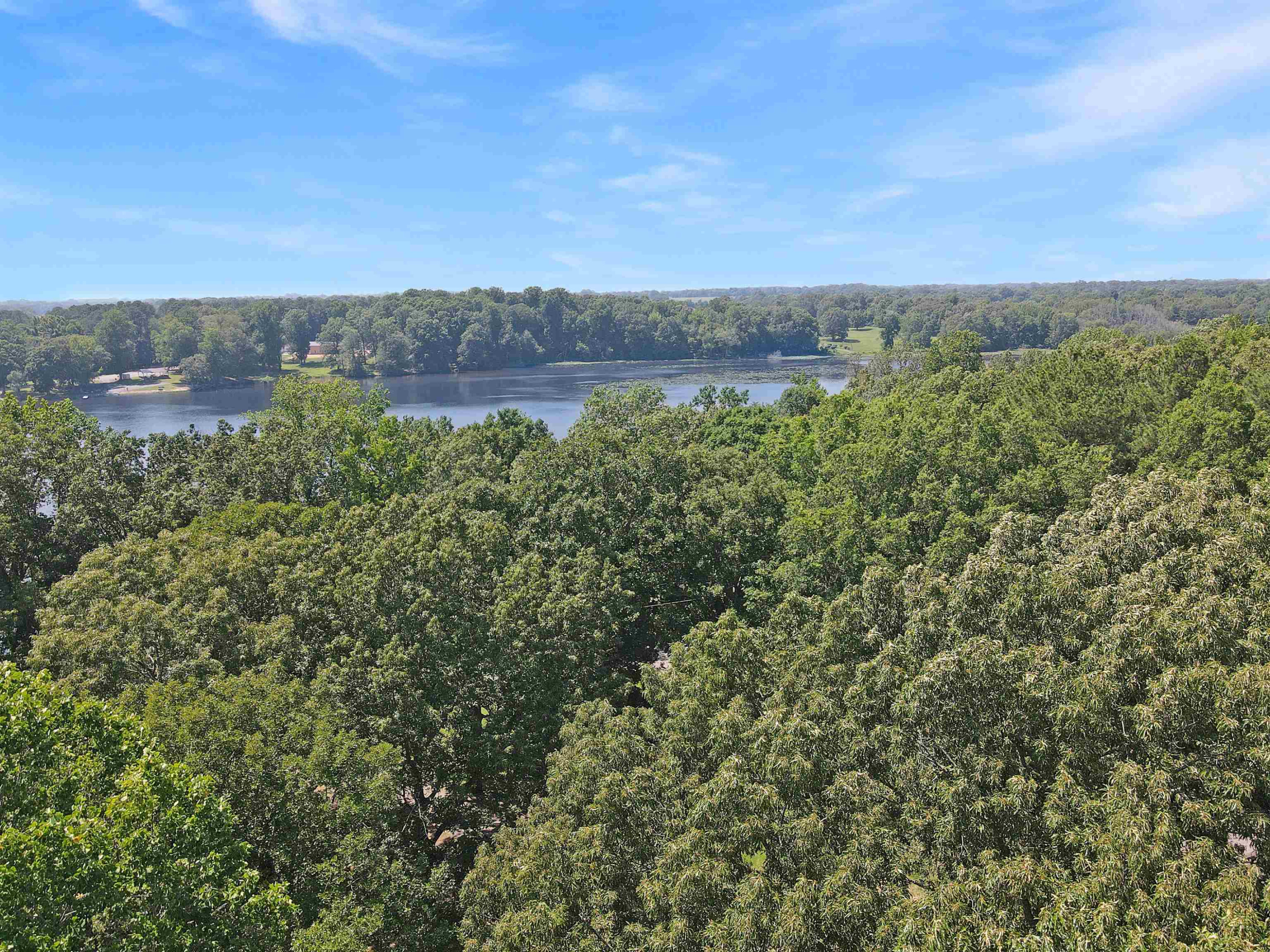 420 Carroll Lake Road McKenzie, TN 38201 - Photo 7 of 21 Photo 7