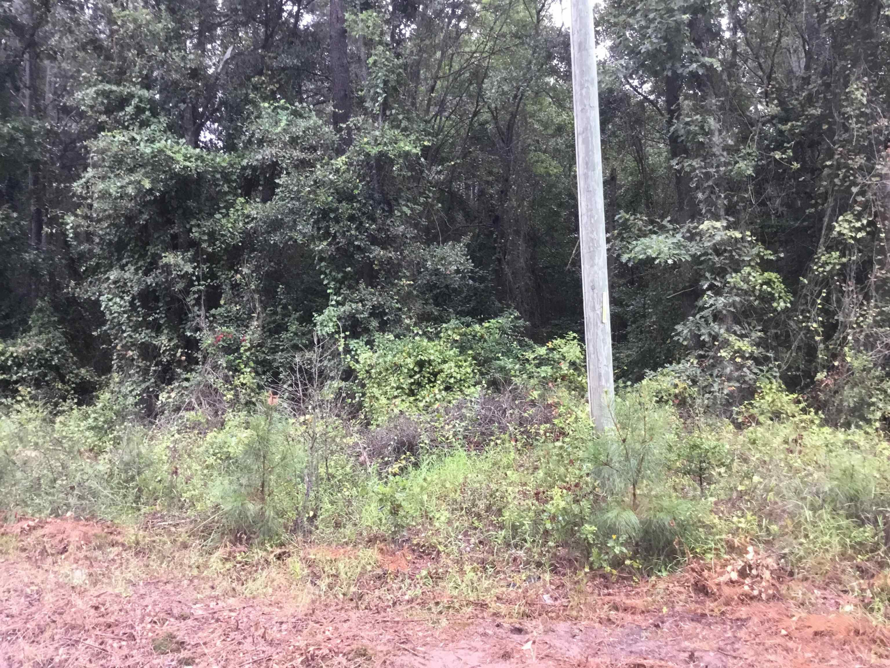 0 Shadowwood Road Benson, NC 27504 - Photo 5 of 6 Photo 5