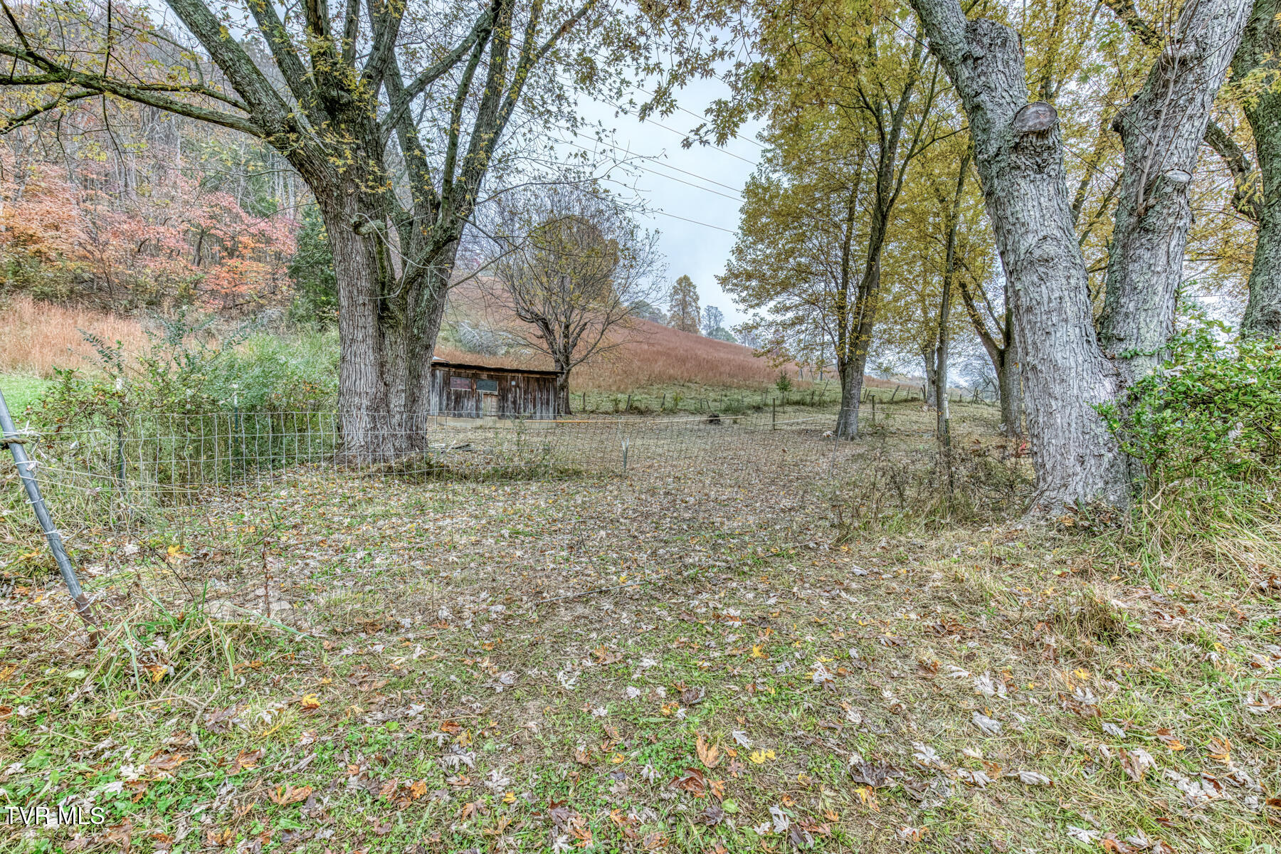 732 Shadowtown Road Blountville, TN 37617 - Photo 4 of 13 732 Shadowtown Rd-3