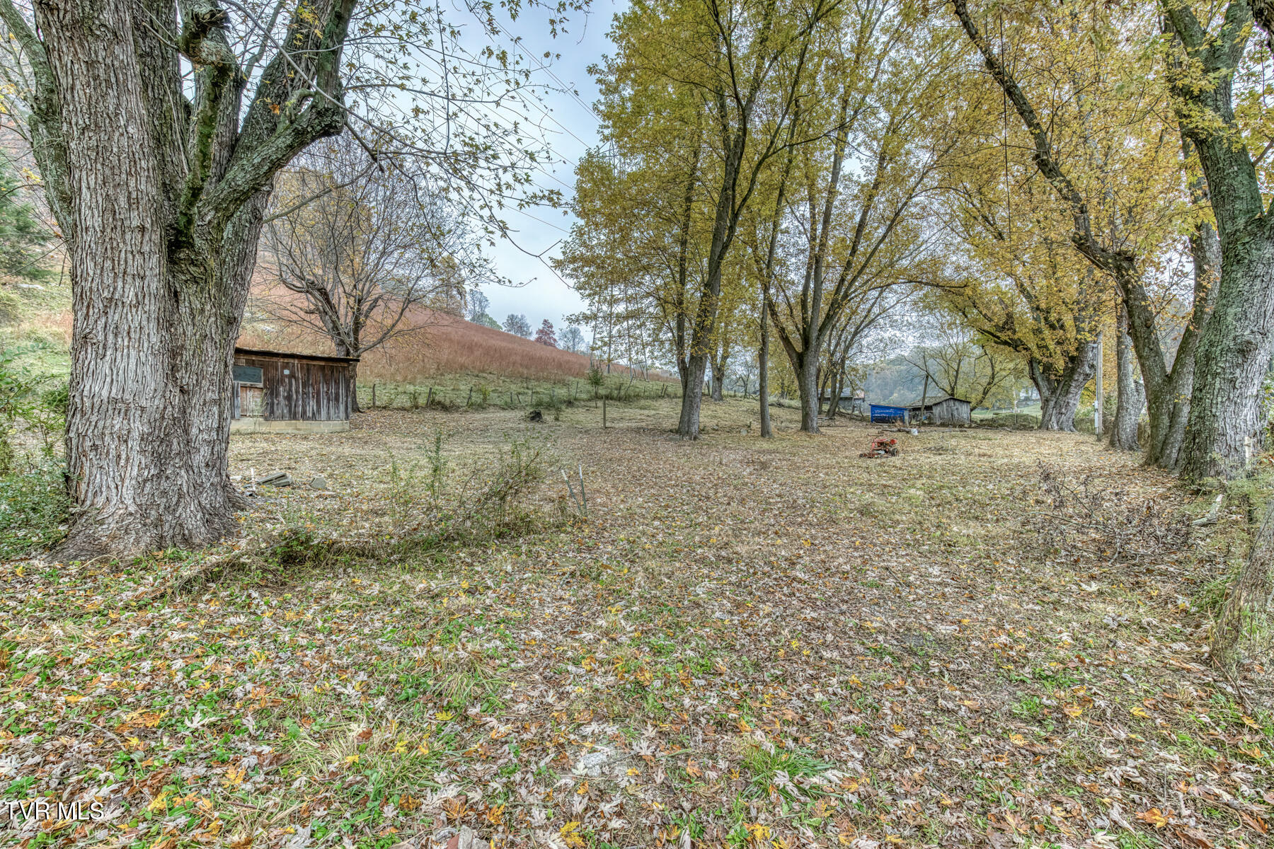 732 Shadowtown Road Blountville, TN 37617 - Photo 5 of 13 732 Shadowtown Rd-4