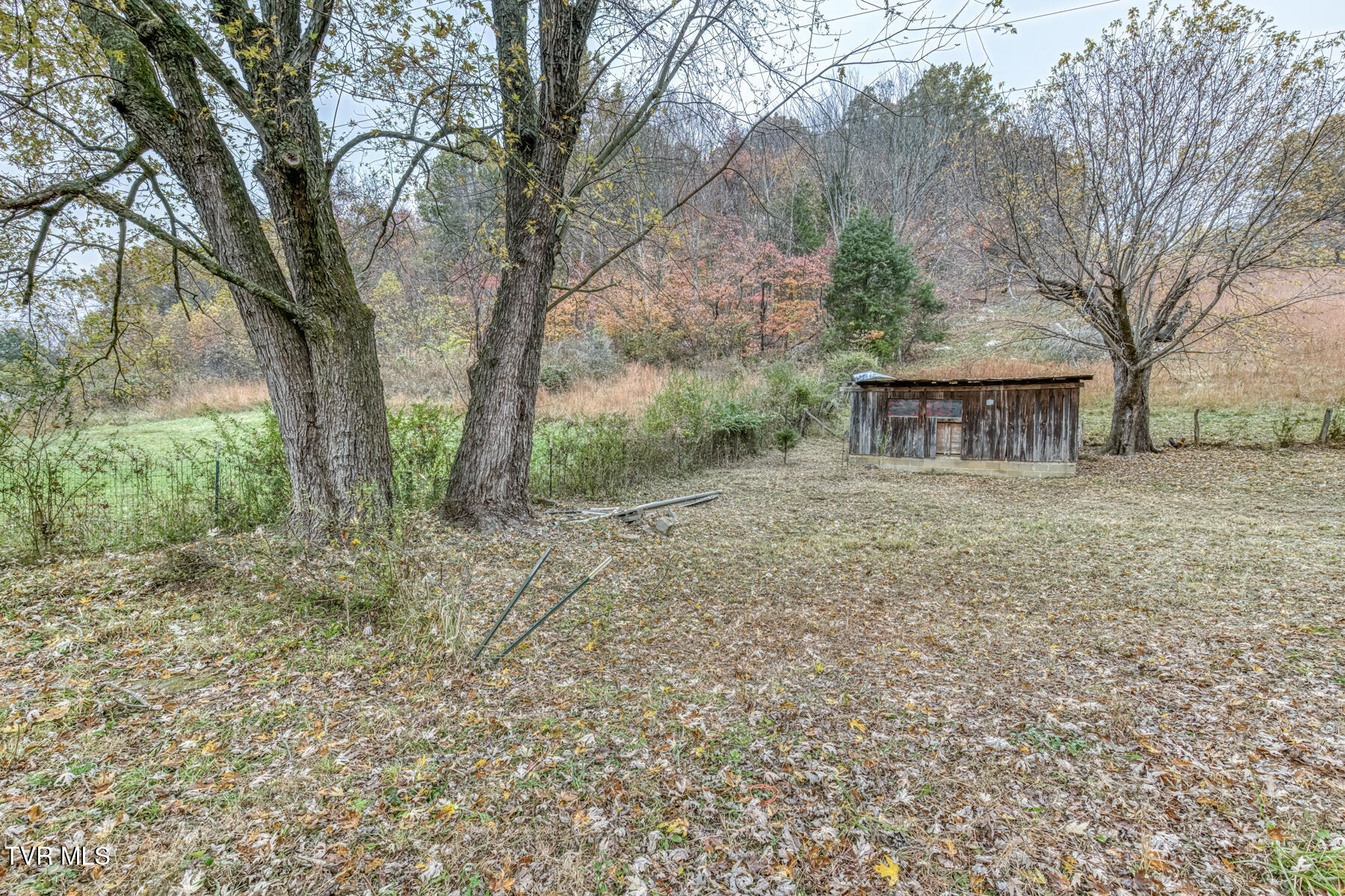 732 Shadowtown Road Blountville, TN 37617 - Photo 6 of 13 732 Shadowtown Rd-5