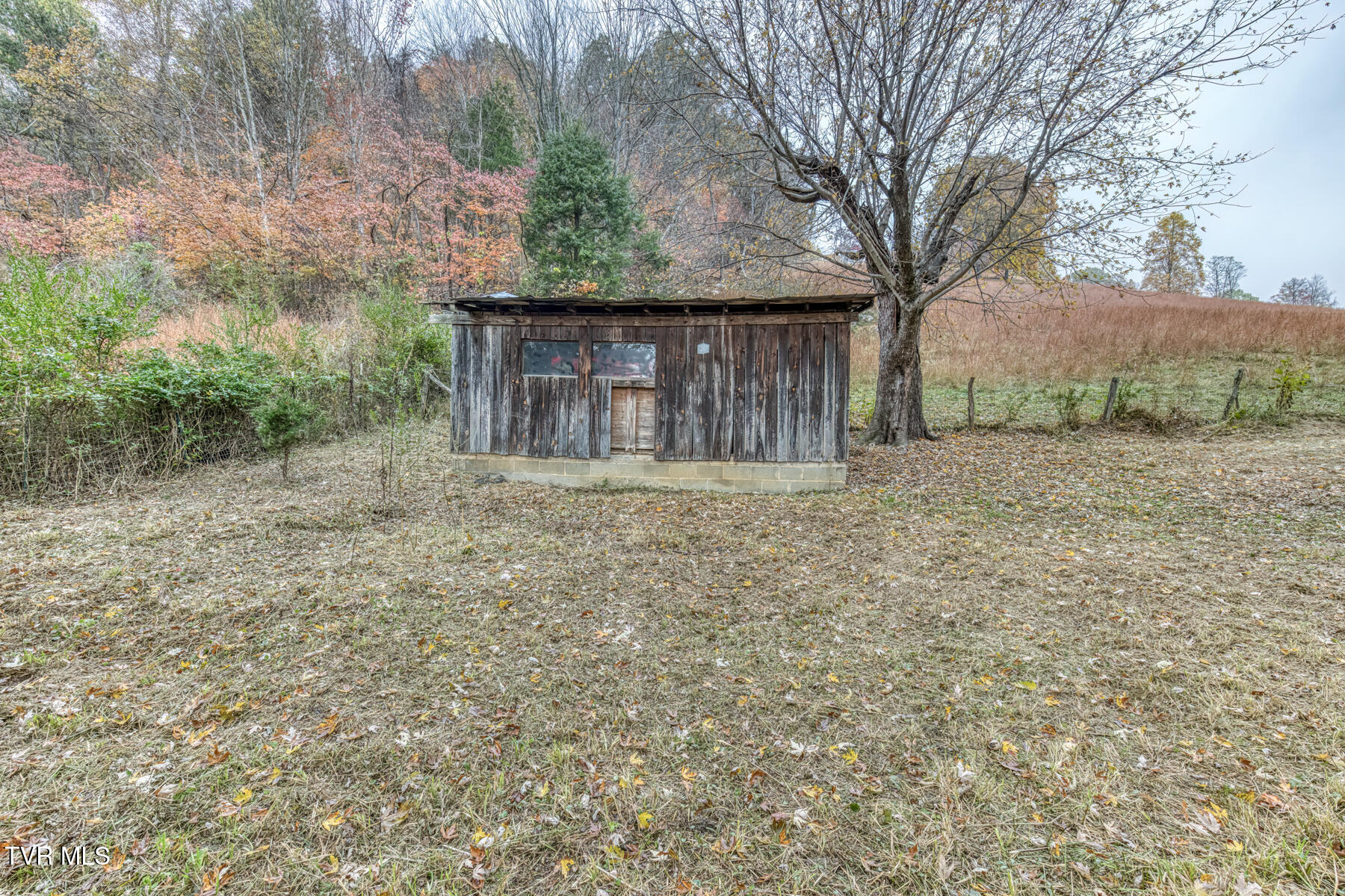 732 Shadowtown Road Blountville, TN 37617 - Photo 7 of 13 732 Shadowtown Rd-6