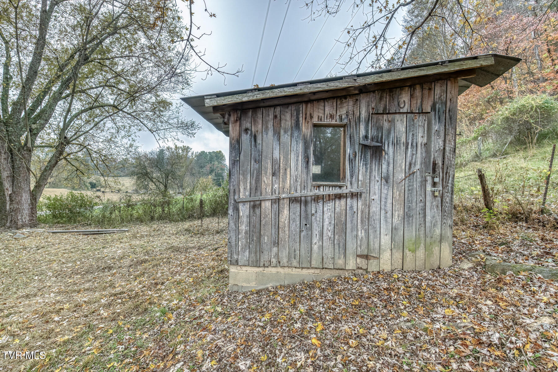 732 Shadowtown Road Blountville, TN 37617 - Photo 8 of 13 732 Shadowtown Rd-7