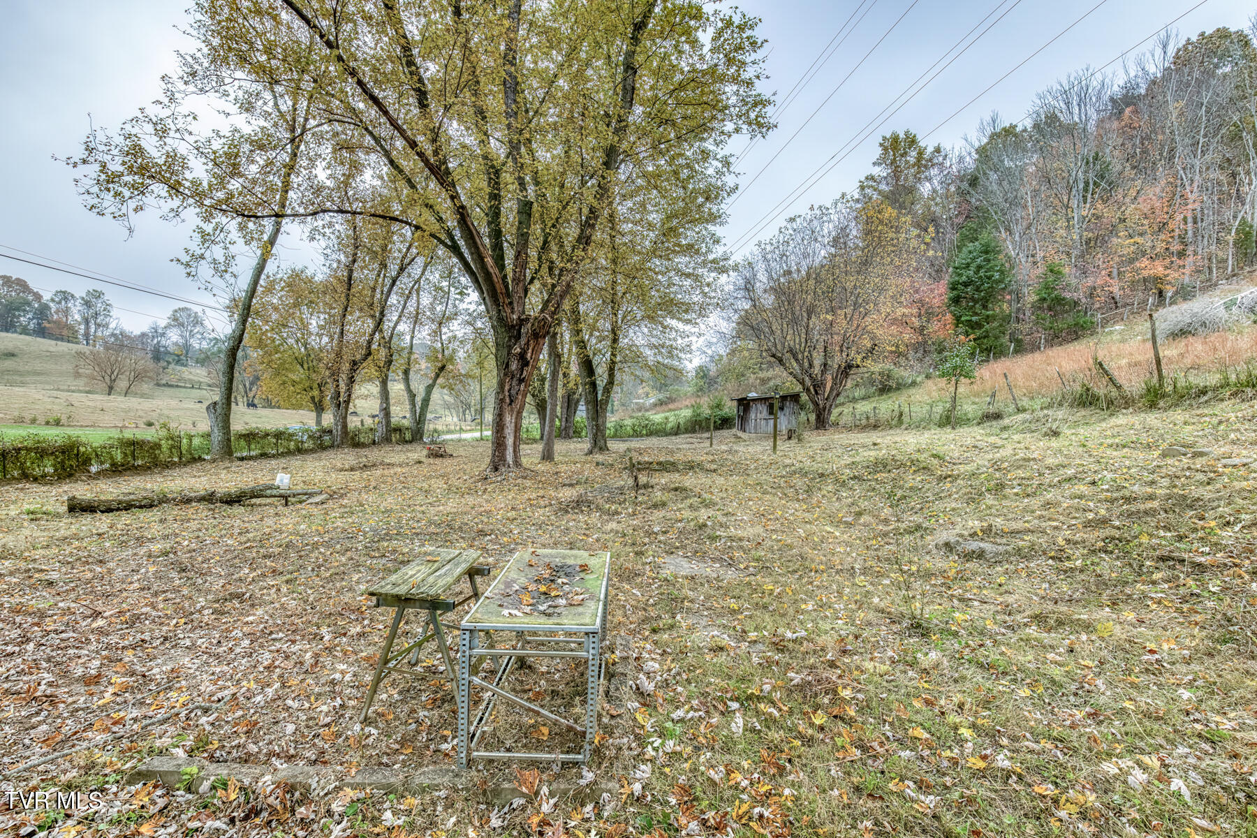 732 Shadowtown Road Blountville, TN 37617 - Photo 10 of 13 732 Shadowtown Rd-10