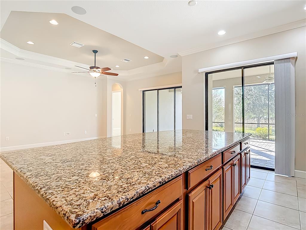 8613 Grand Alberato Road Tampa, FL 33647 - Photo 22 of 57