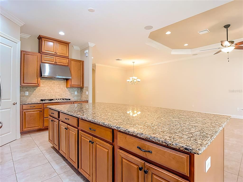 8613 Grand Alberato Road Tampa, FL 33647 - Photo 23 of 57