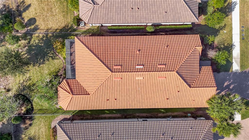 8613 Grand Alberato Road Tampa, FL 33647 - Photo 50 of 56