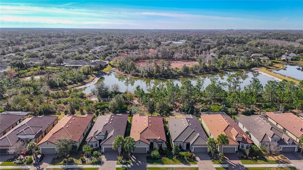 8613 Grand Alberato Road Tampa, FL 33647 - Photo 57 of 57