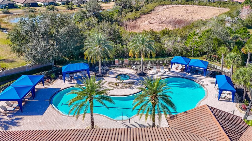 8613 Grand Alberato Road Tampa, FL 33647 - Photo 6 of 56