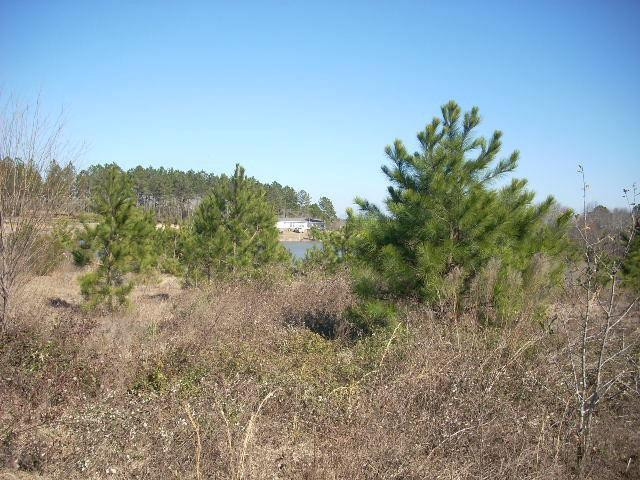 Lot 49 High Ridge Road Wray, GA 31798 - Photo 1 of 1