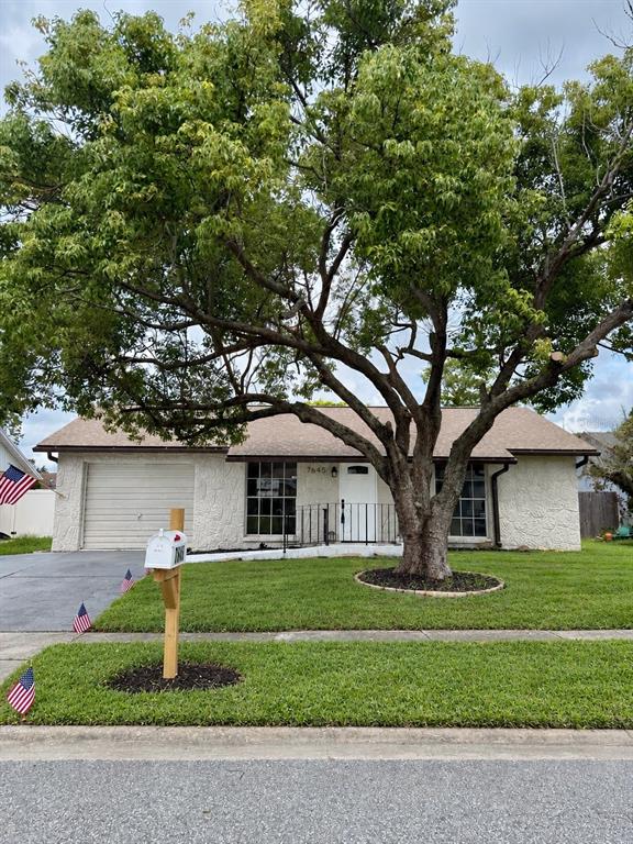 7645 Arlight Drive New Port Richey, FL 34655 - Photo 1 of 1 Gallery Image 1