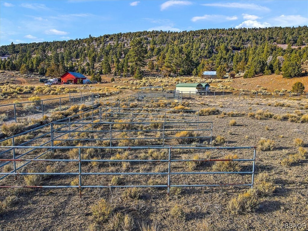 2371 Erwin Ranch Road Big Bear City, CA 92314 - Photo 3 of 13