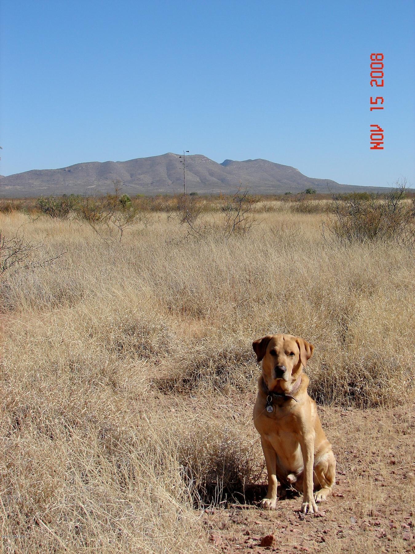 Davis Ranch Road, Unit 7 McNeal, AZ 85617 - Photo 15 of 15