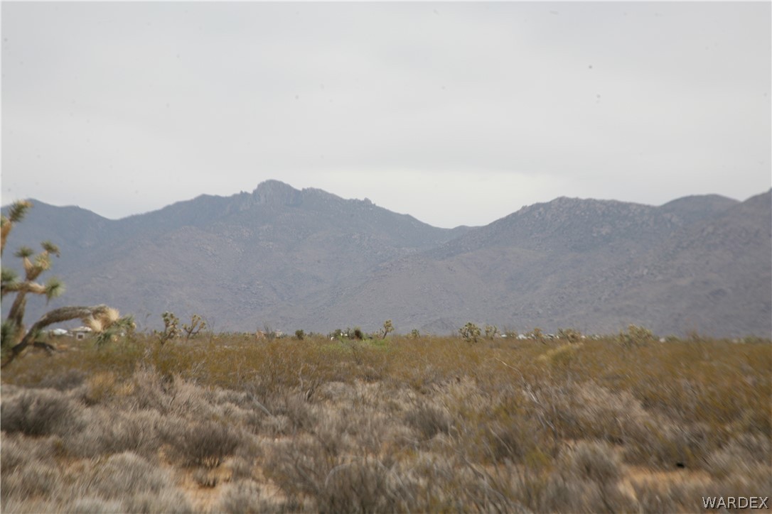 245-18-266 Alan Road Yucca, AZ 86438 - Photo 18 of 54