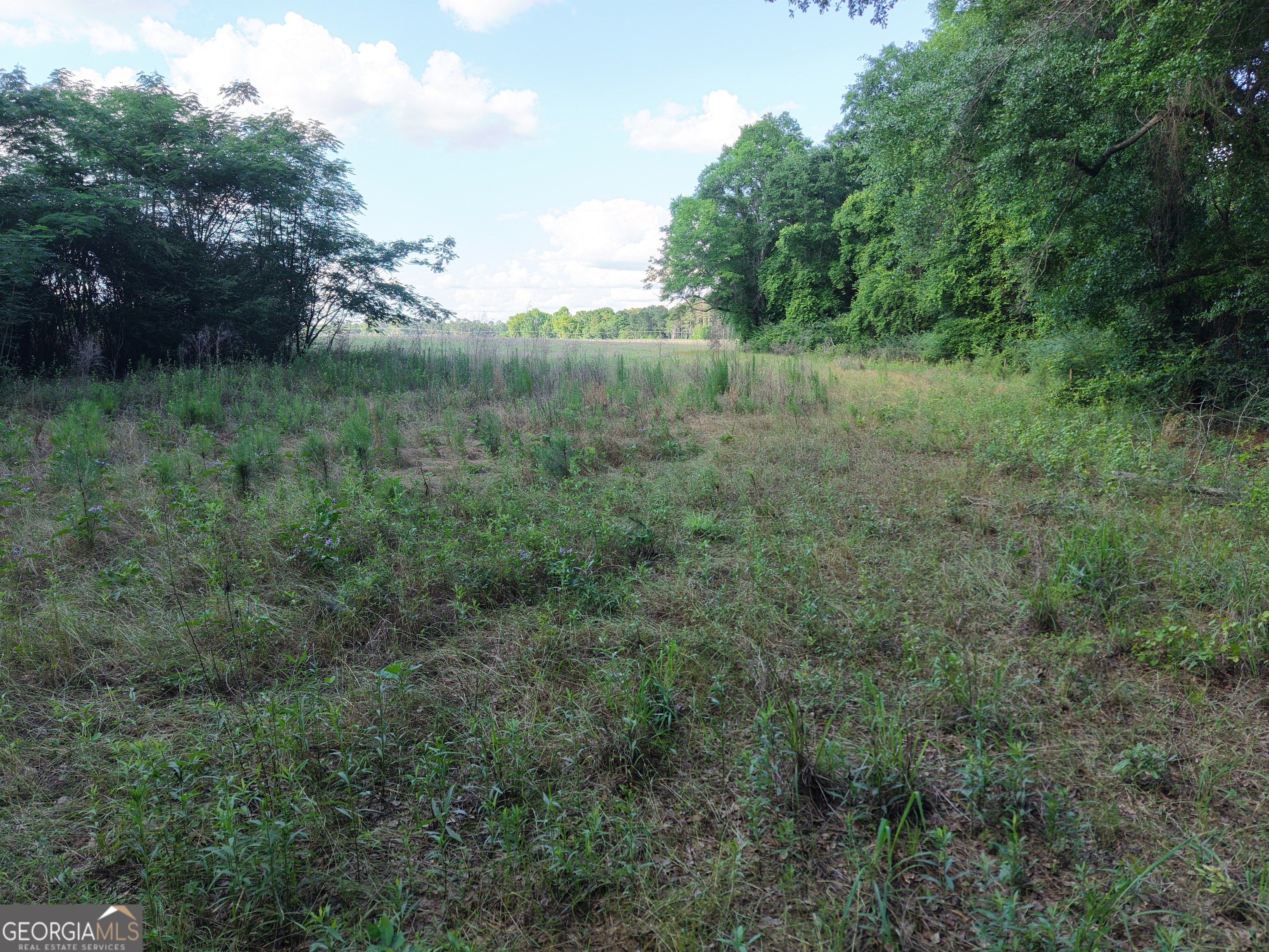 0 West Bluffton Road Bluffton, GA 39824 - Photo 16 of 18