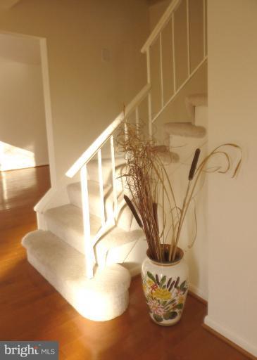 8630 Reseca Lane Springfield, VA 22152 - Photo 5 of 7 Entrance