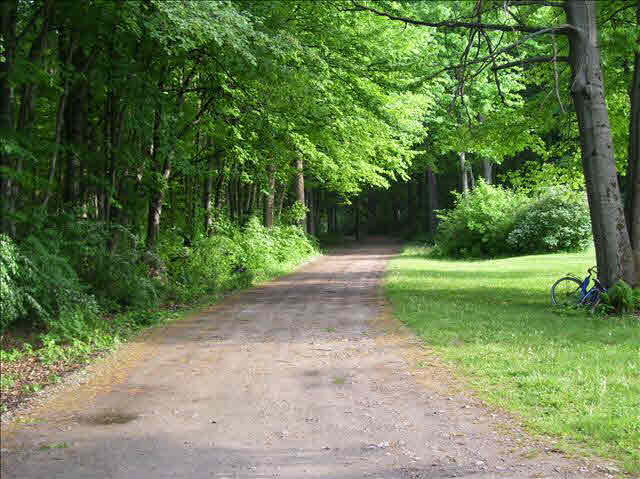 2866 West Erie Road Temperance, MI 48182 - Photo 5 of 18 Secluded Driveway