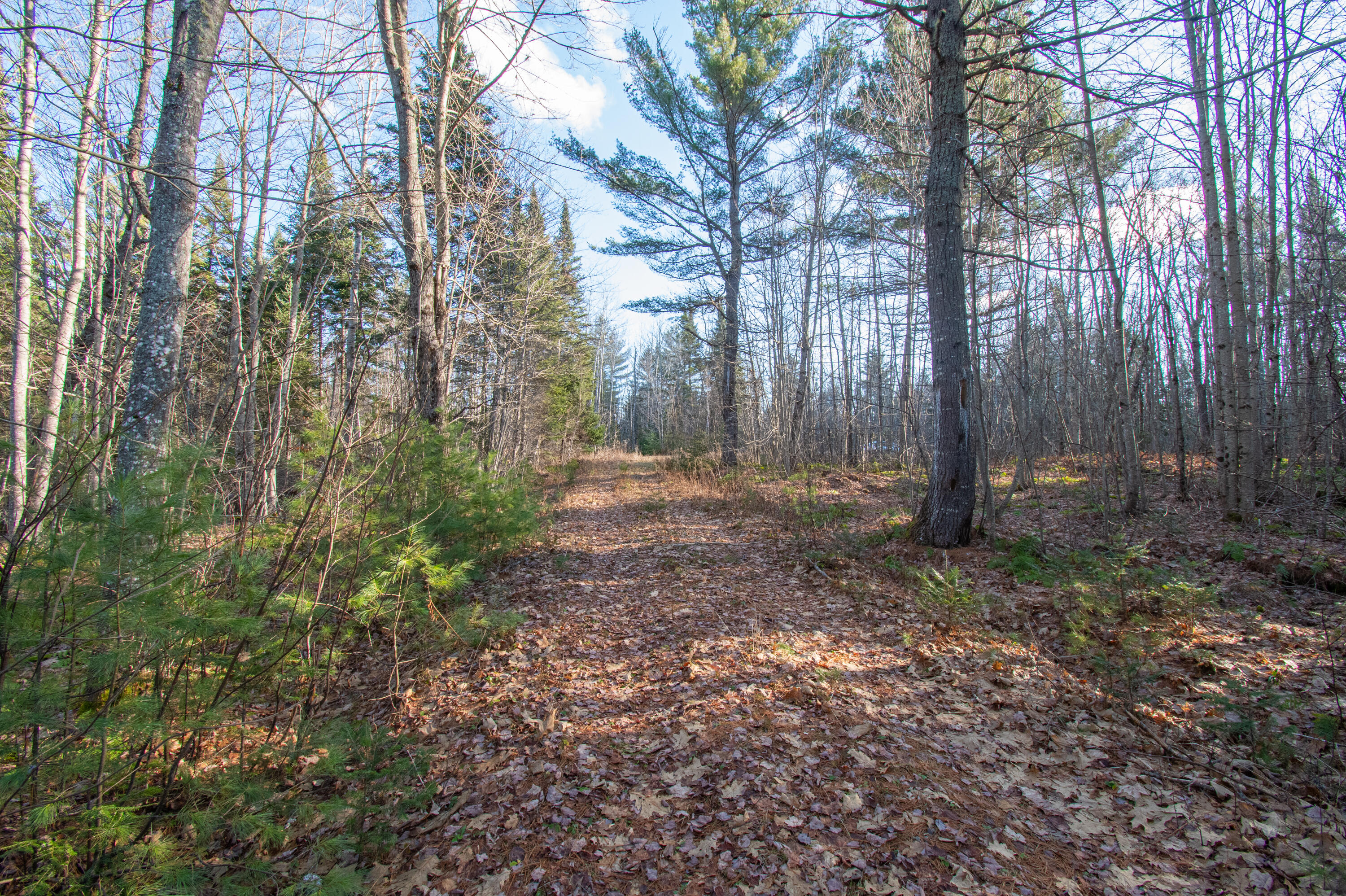 60 Rivers Edge Lane Howland, ME 04448 - Photo 12 of 39 Lot11RiversEdgeLn.Howland-02-2