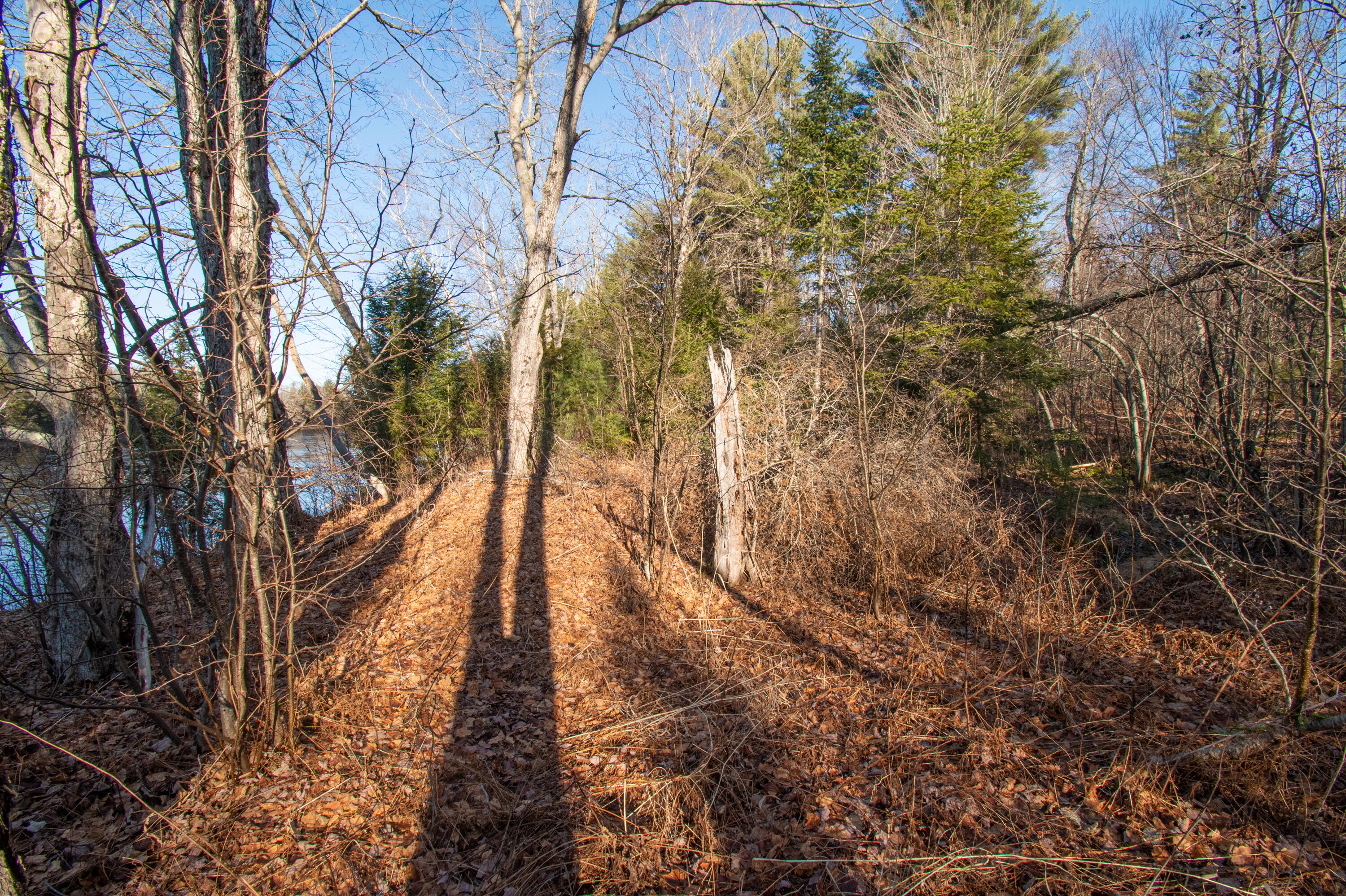 60 Rivers Edge Lane Howland, ME 04448 - Photo 15 of 39 Lot11RiversEdgeLn.Howland-06-2