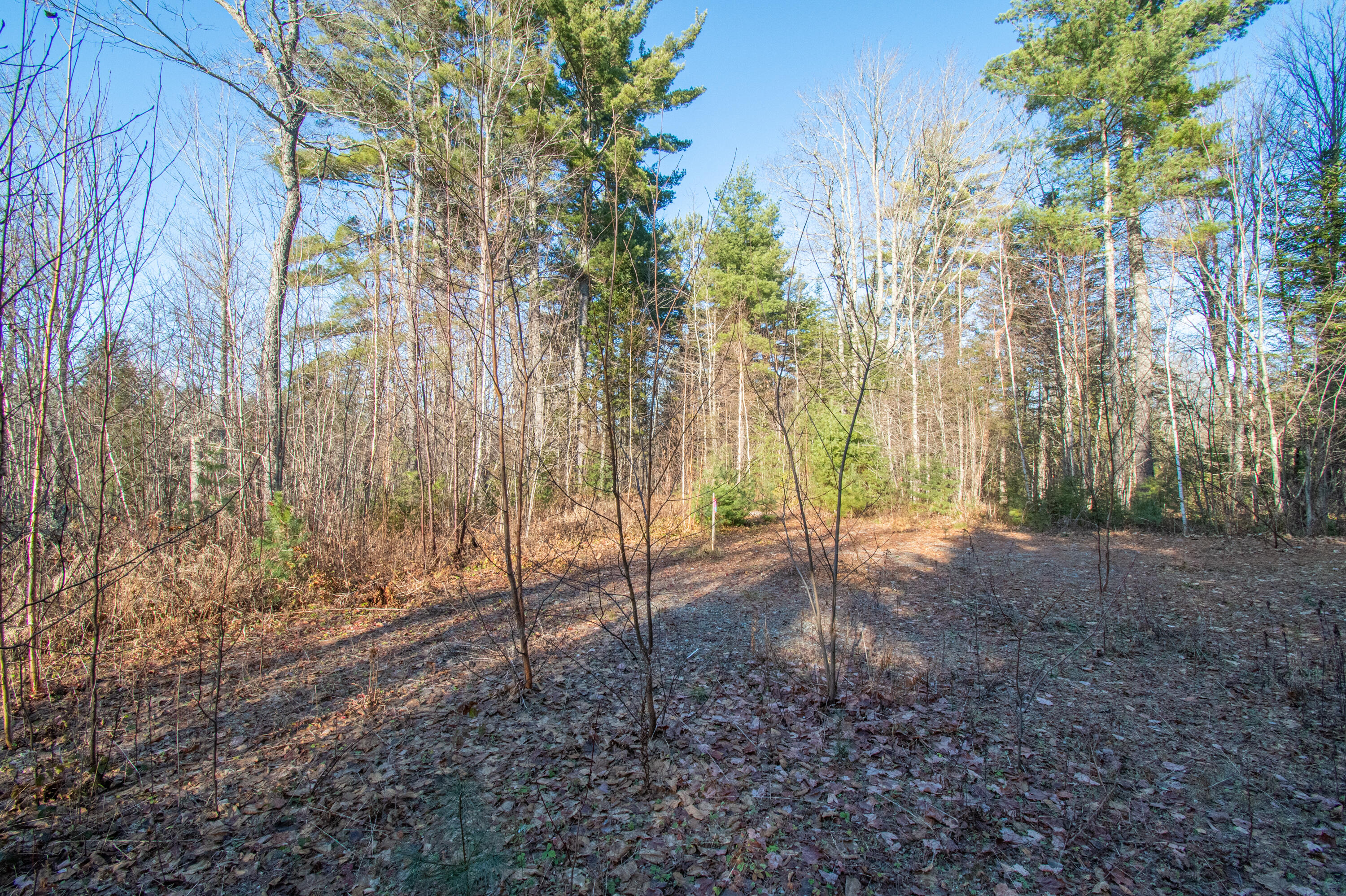 60 Rivers Edge Lane Howland, ME 04448 - Photo 24 of 39 Lot11RiversEdgeLn.Howland-14-2