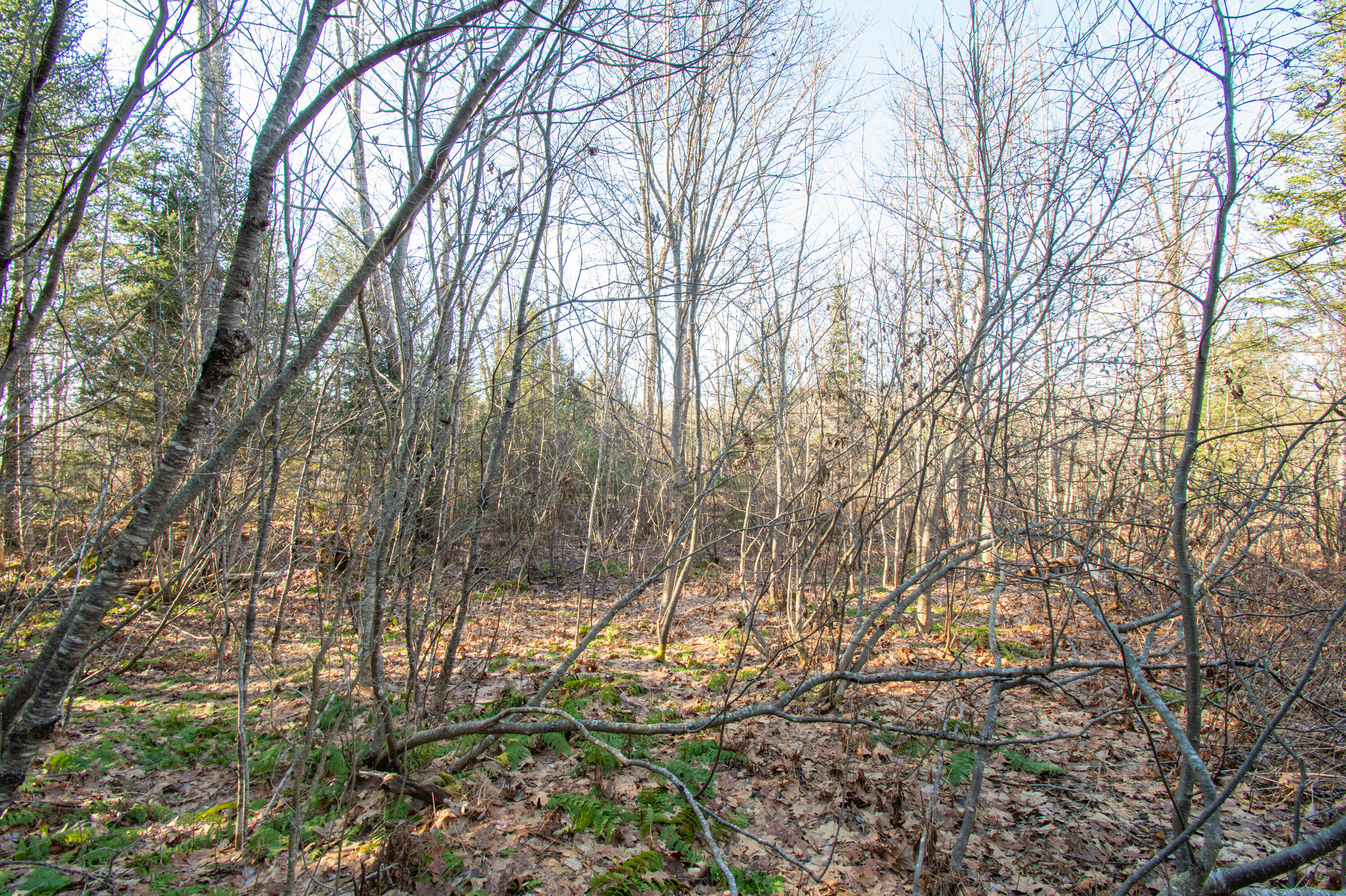 60 Rivers Edge Lane Howland, ME 04448 - Photo 26 of 39 Lot11RiversEdgeLn.Howland-17-2
