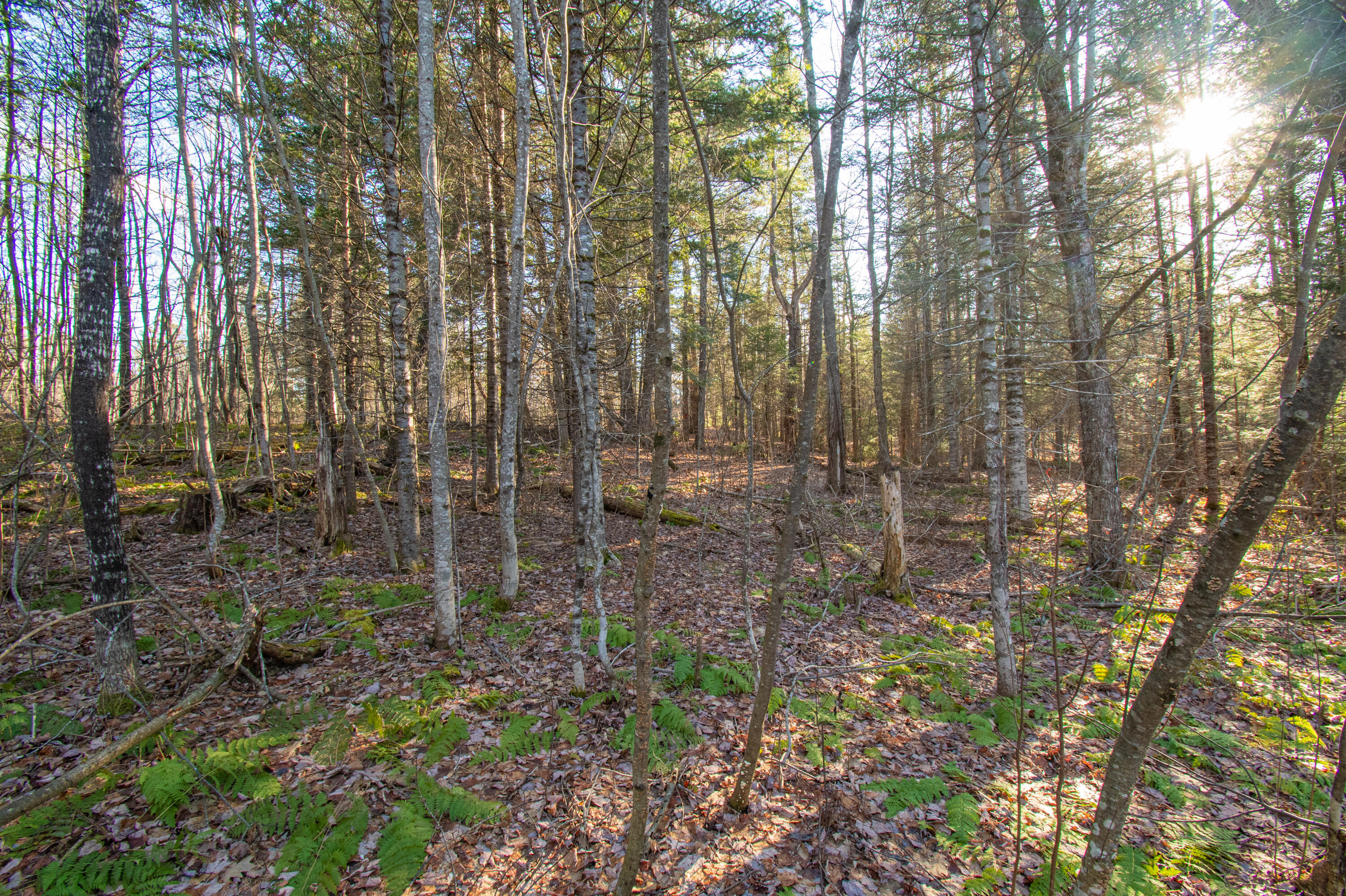 60 Rivers Edge Lane Howland, ME 04448 - Photo 27 of 39 Lot11RiversEdgeLn.Howland-18-2