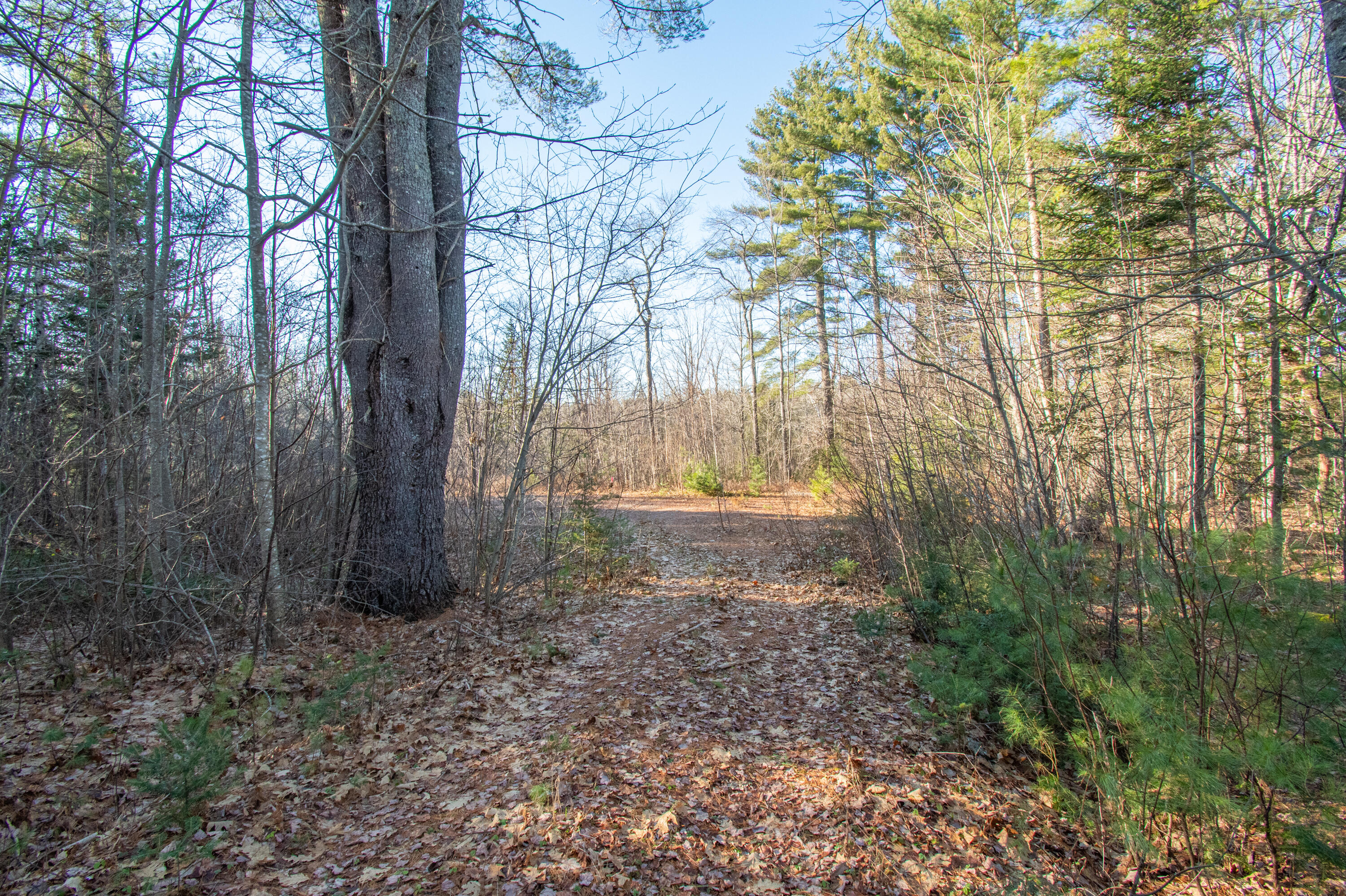 60 Rivers Edge Lane Howland, ME 04448 - Photo 28 of 39 Lot11RiversEdgeLn.Howland-20-2
