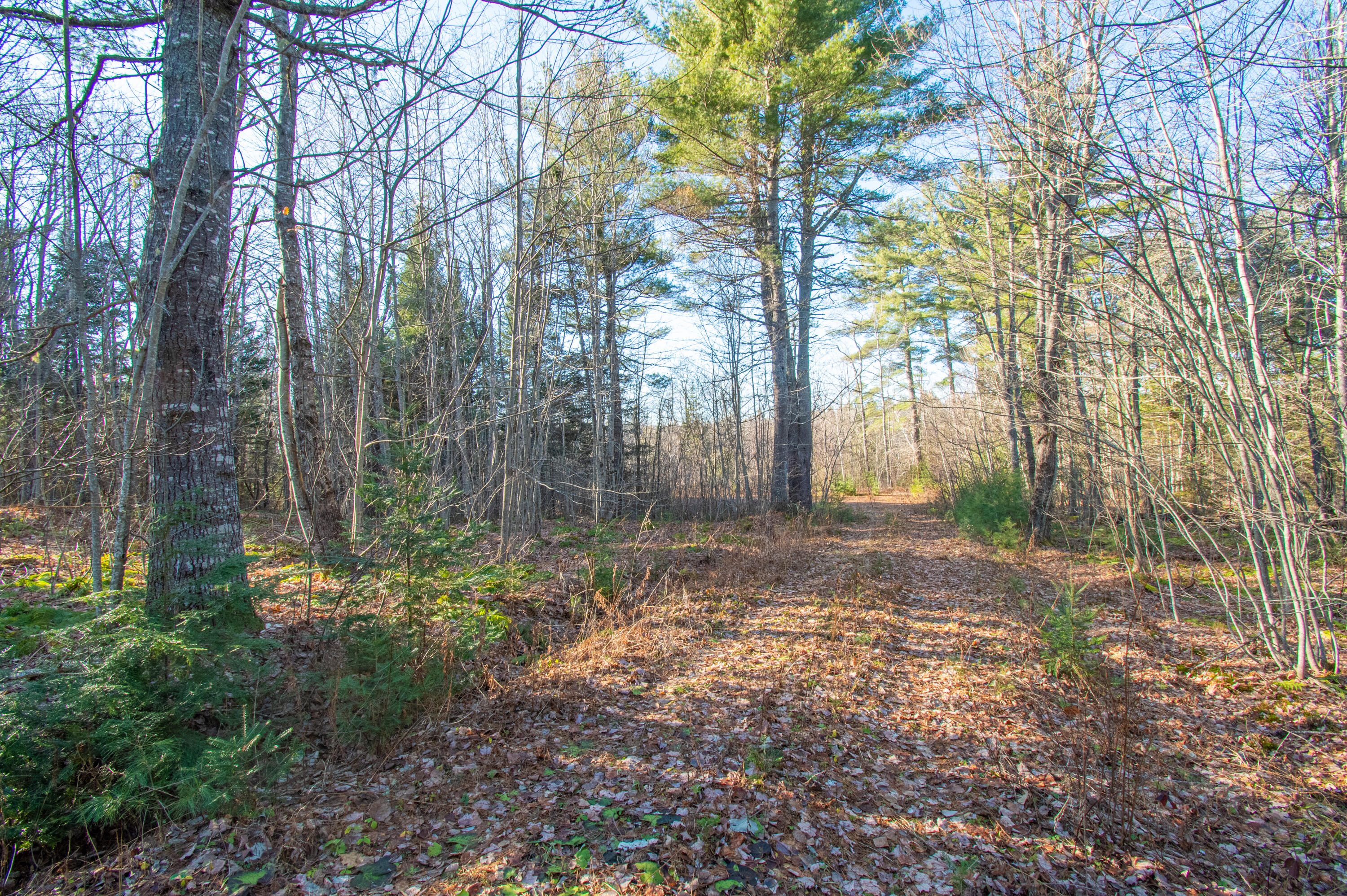 60 Rivers Edge Lane Howland, ME 04448 - Photo 29 of 39 Lot11RiversEdgeLn.Howland-22-2