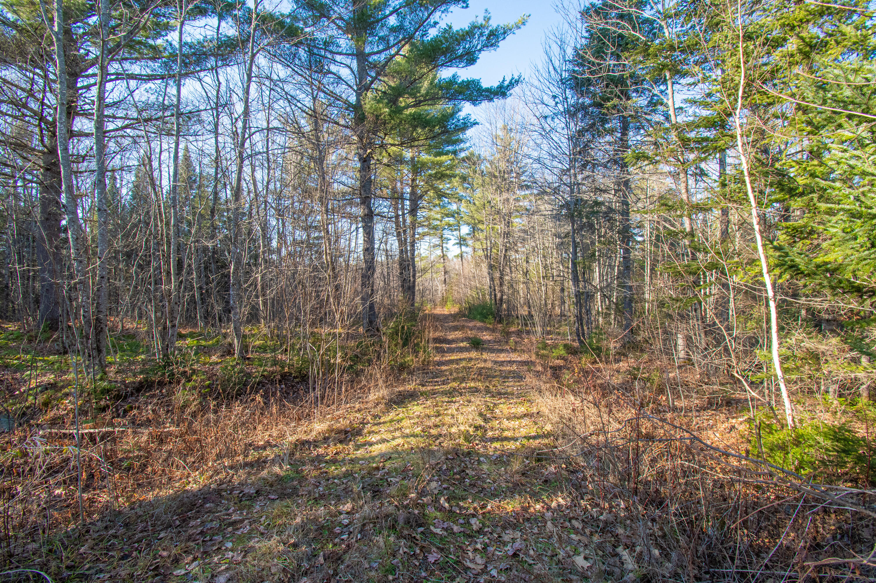 60 Rivers Edge Lane Howland, ME 04448 - Photo 30 of 39 Lot11RiversEdgeLn.Howland-23-2