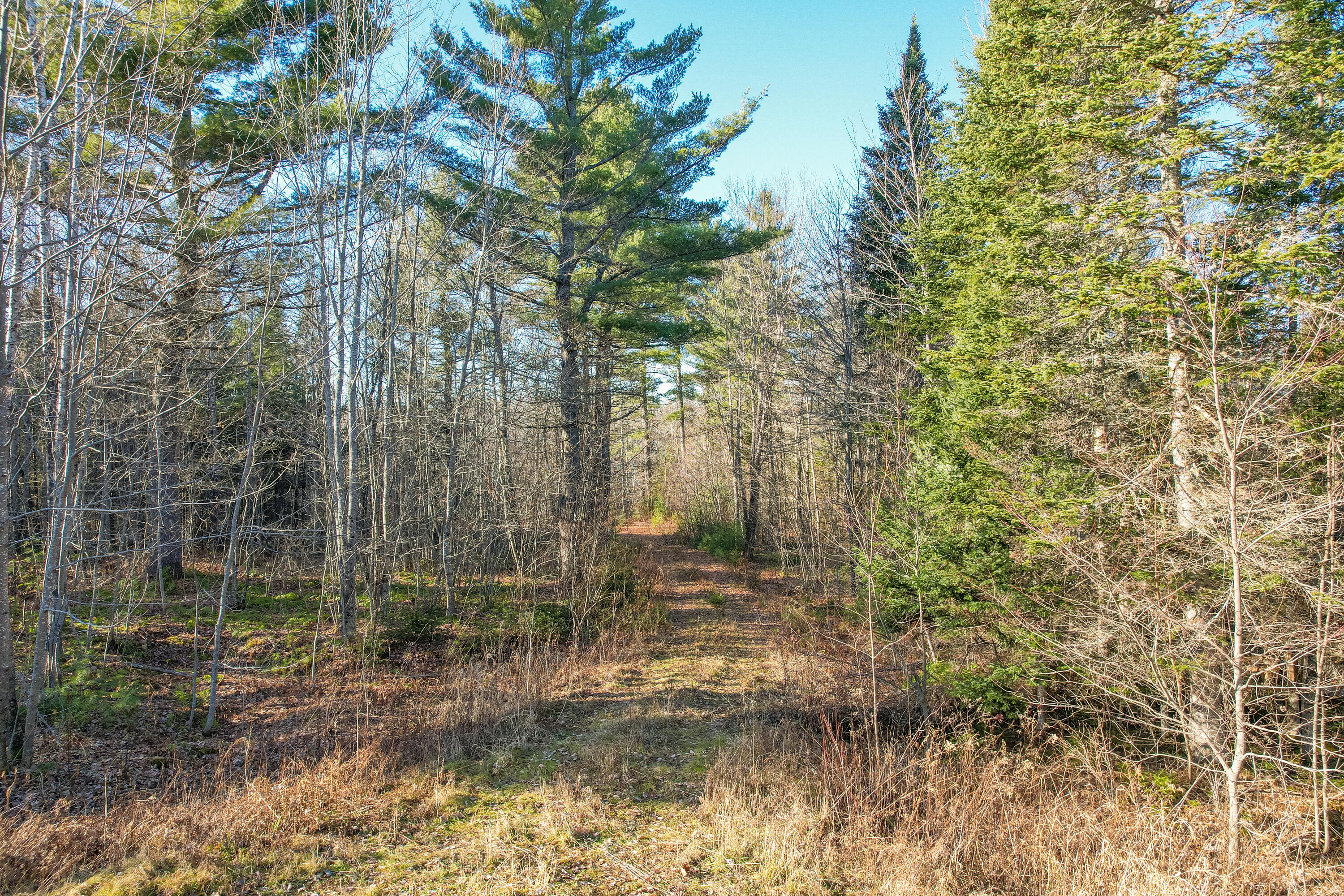 60 Rivers Edge Lane Howland, ME 04448 - Photo 31 of 39 Lot11RiversEdgeLn.Howland-28-2