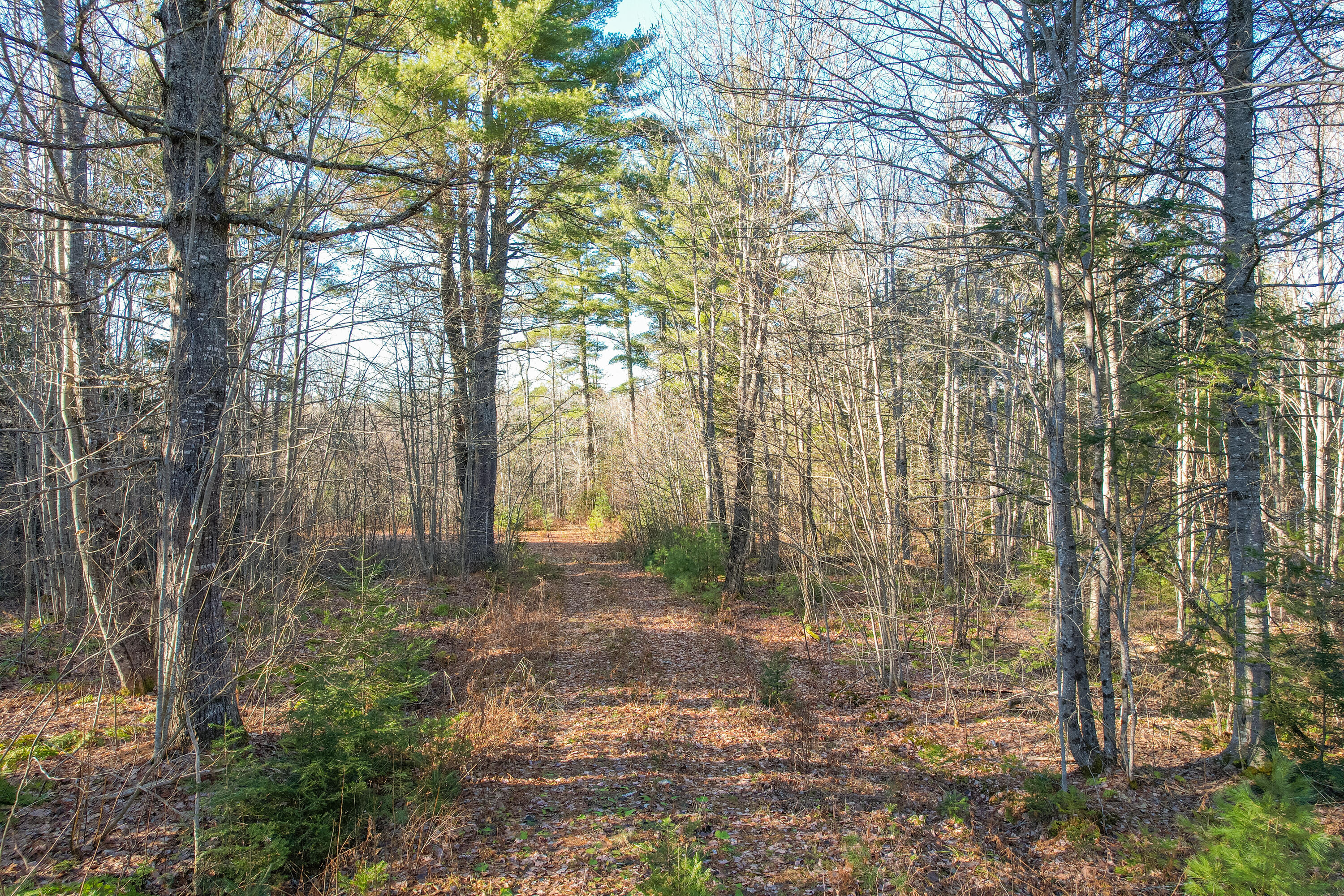 60 Rivers Edge Lane Howland, ME 04448 - Photo 32 of 39 Lot11RiversEdgeLn.Howland-29-2