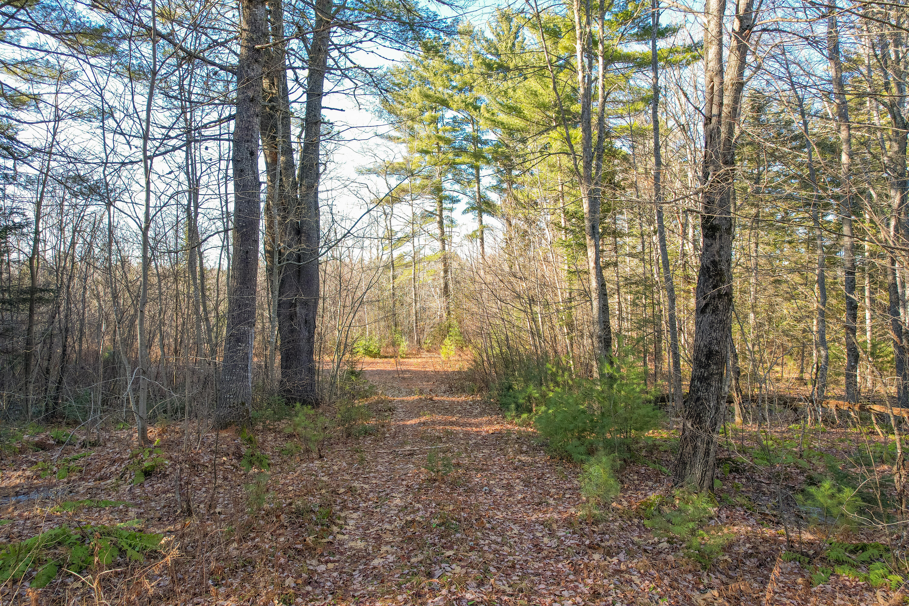 60 Rivers Edge Lane Howland, ME 04448 - Photo 33 of 39 Lot11RiversEdgeLn.Howland-30-2