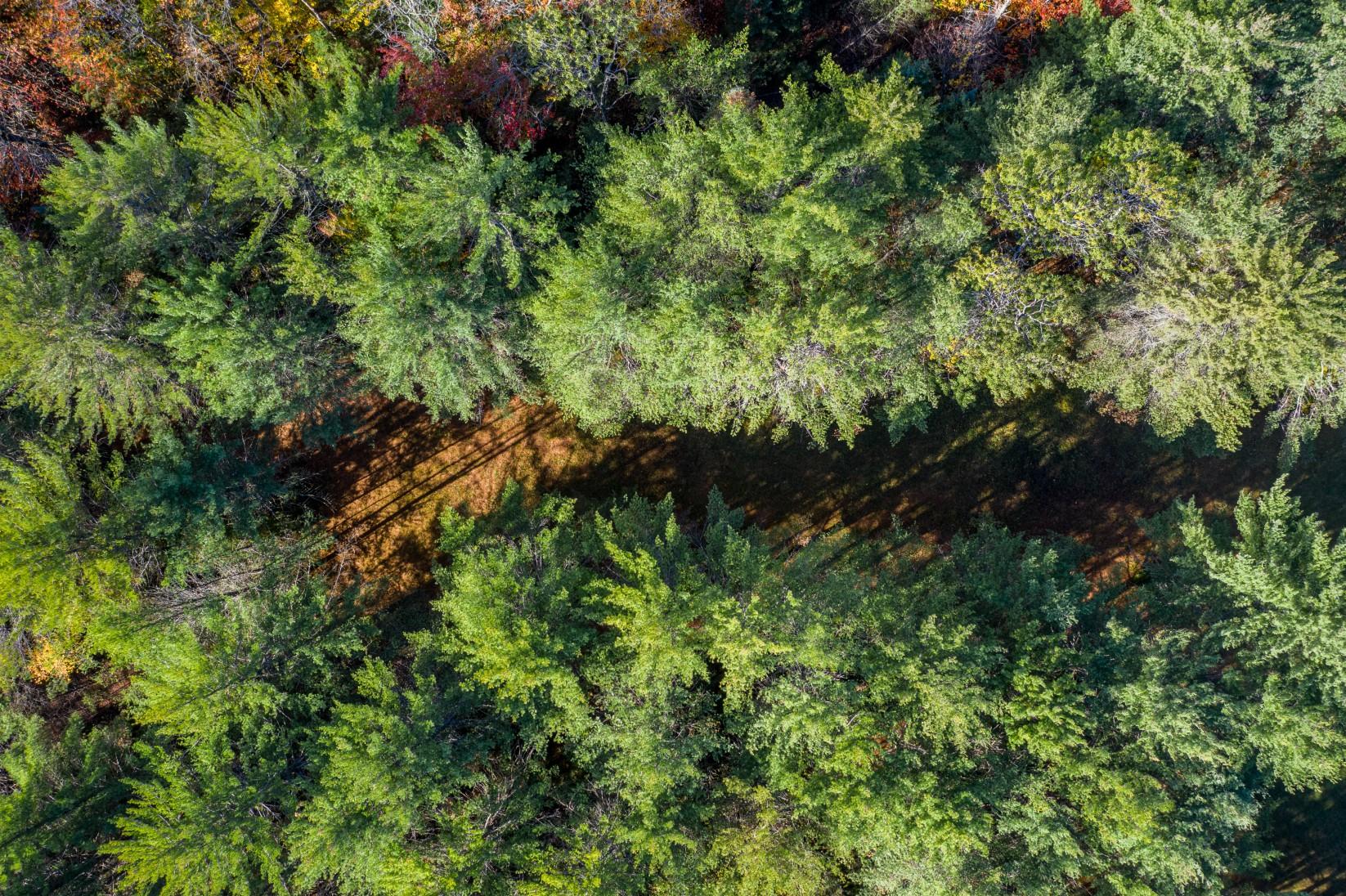58 Morrill Farm Road Sumner, ME 04292 - Photo 27 of 31 12 Sumner-12