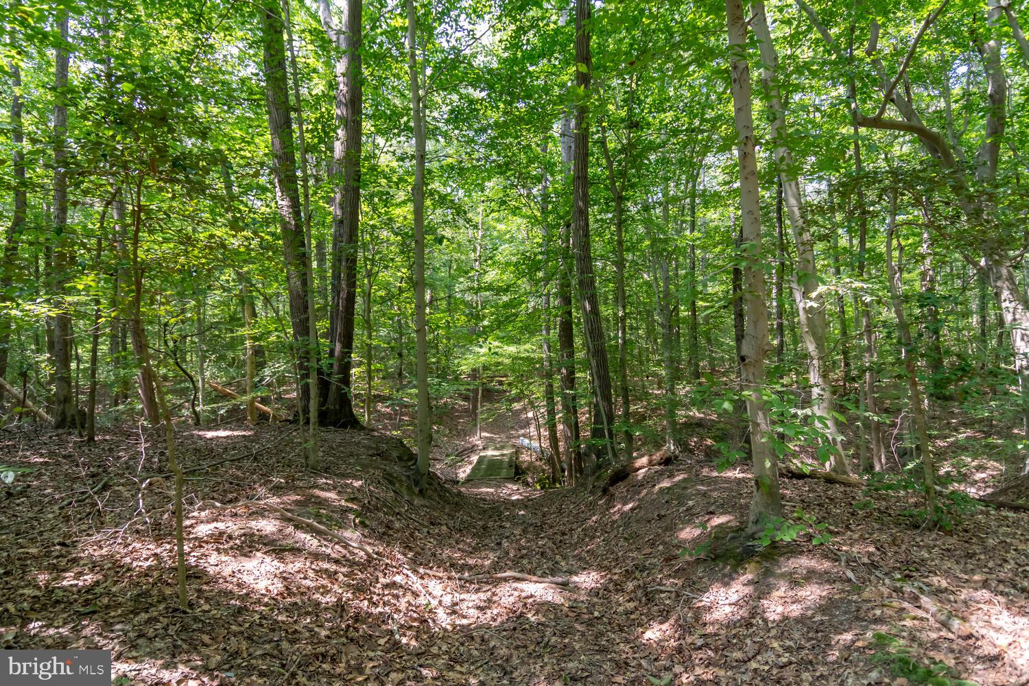 Boston Cliff Road Easton, MD 21601 - Photo 18 of 19 Gallery Image 18