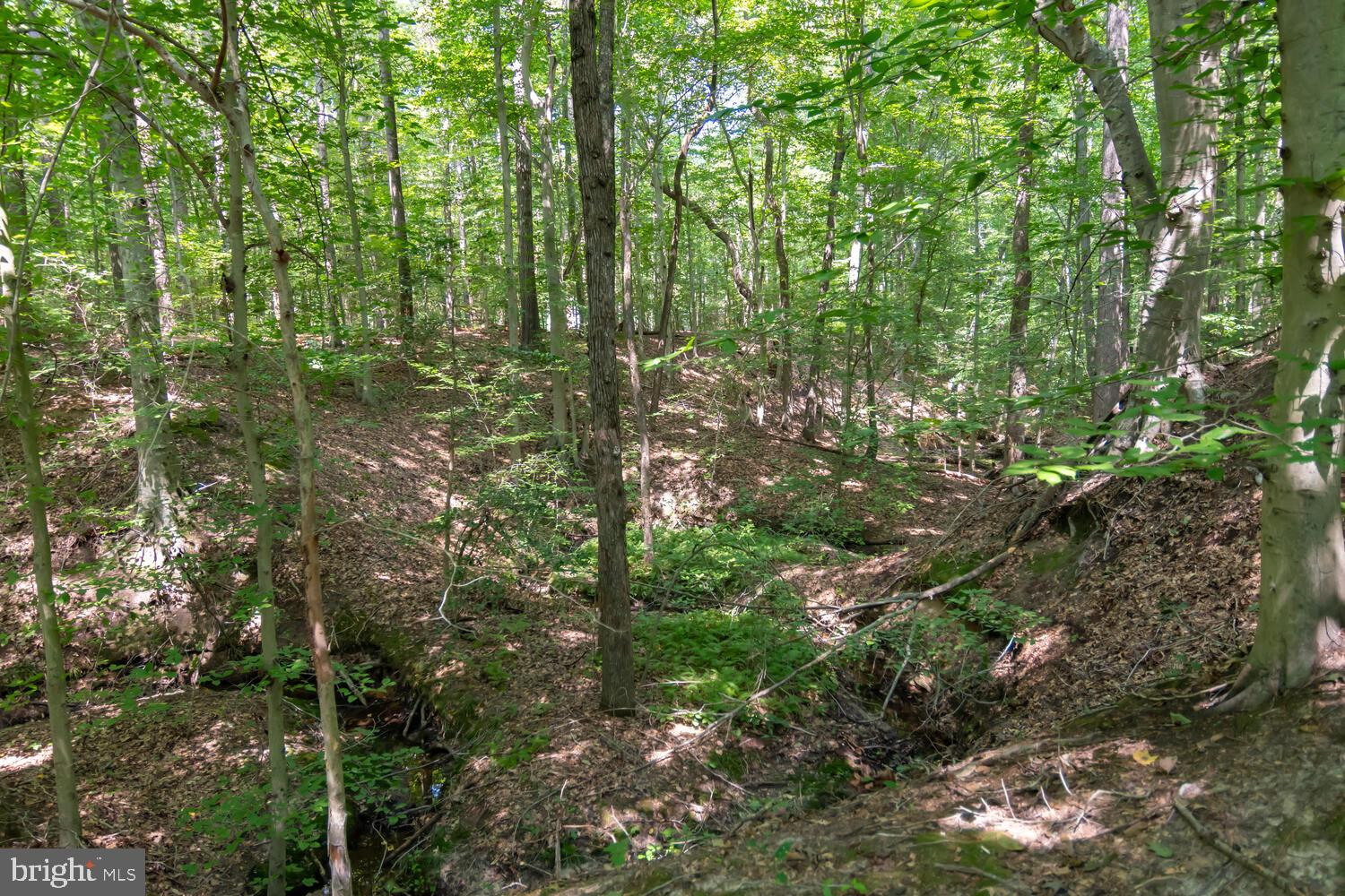 Boston Cliff Road Easton, MD 21601 - Photo 19 of 19 Gallery Image 19